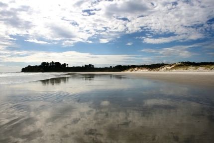 whangarei (30)